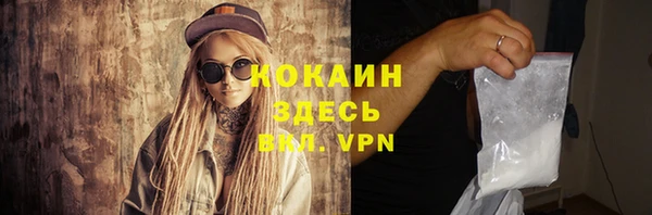 бошки Снежногорск